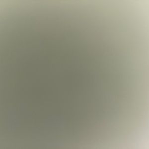 Meet your Posher, Talya